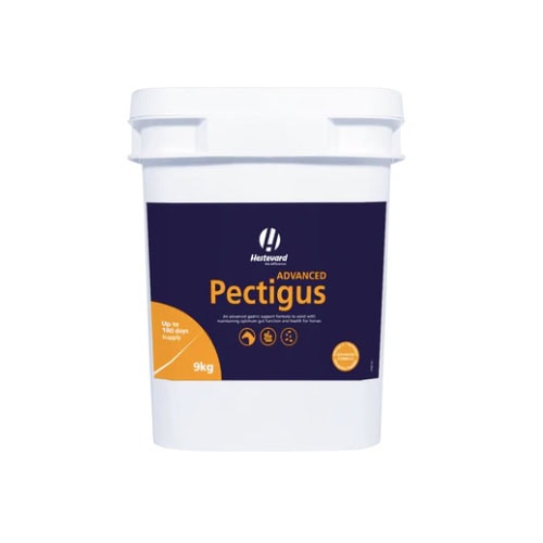 Pectigus ADVANCED (Hestevard)