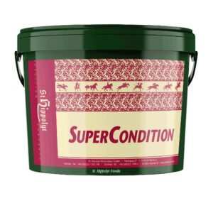 Super Condition (St.Hippolyt)