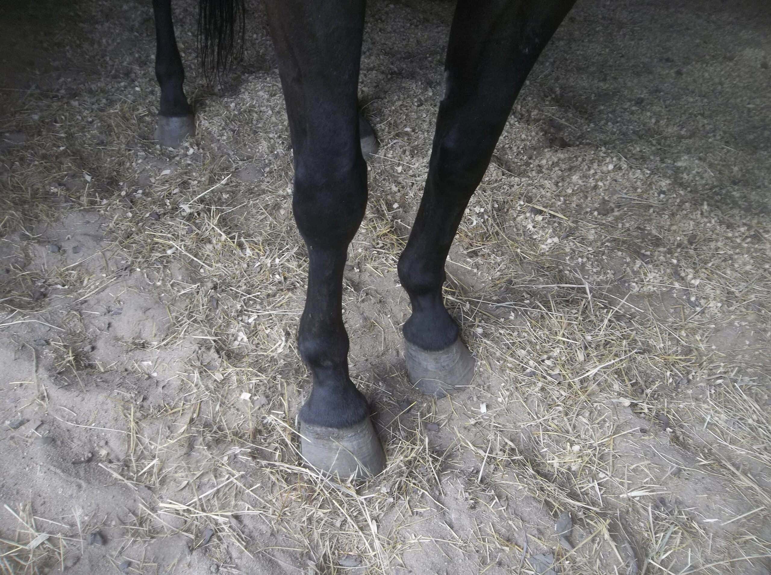 Case Study, After Picture, Sky Feet 2024