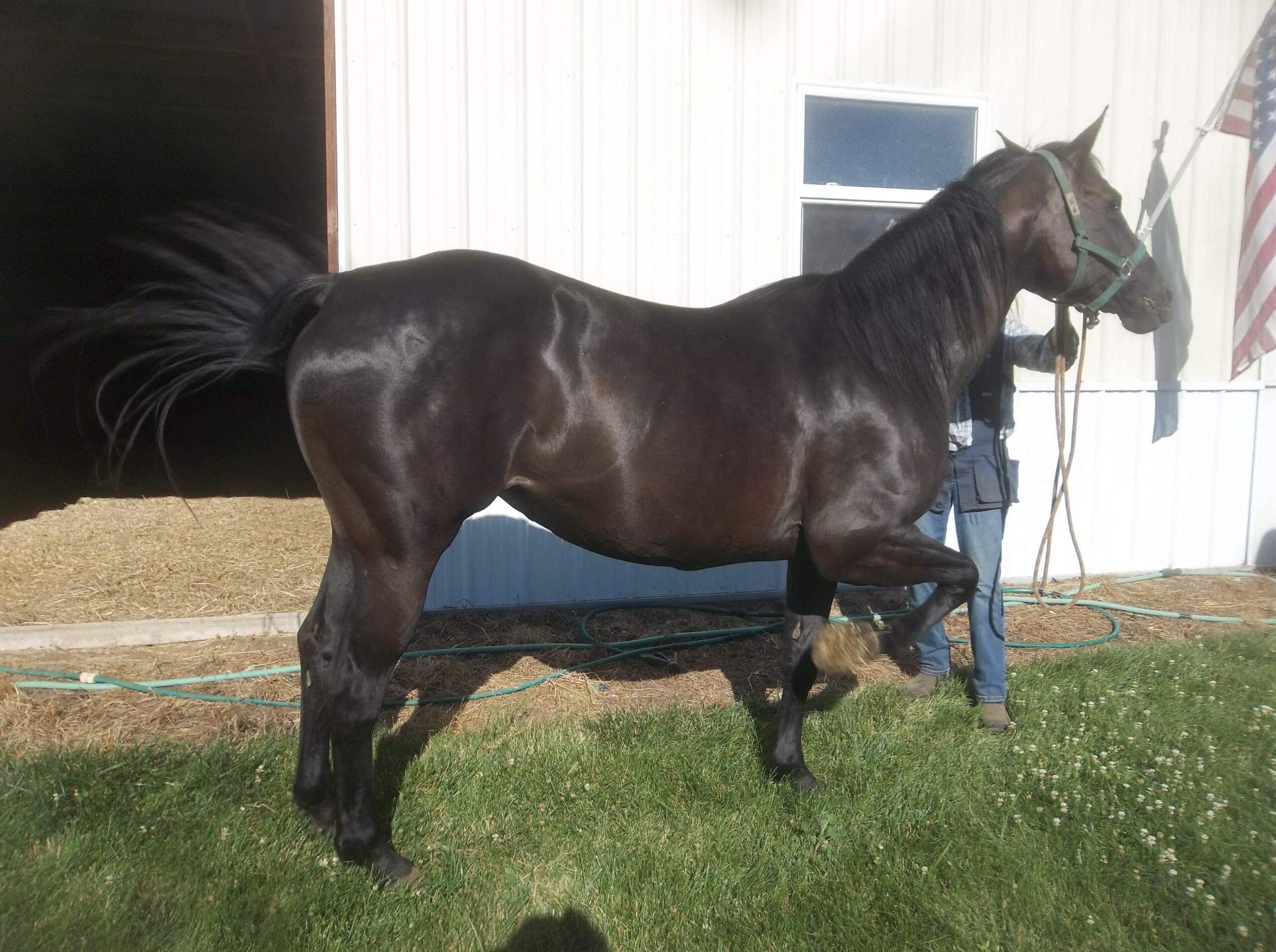 Case Study, After Picture, Sky 2024