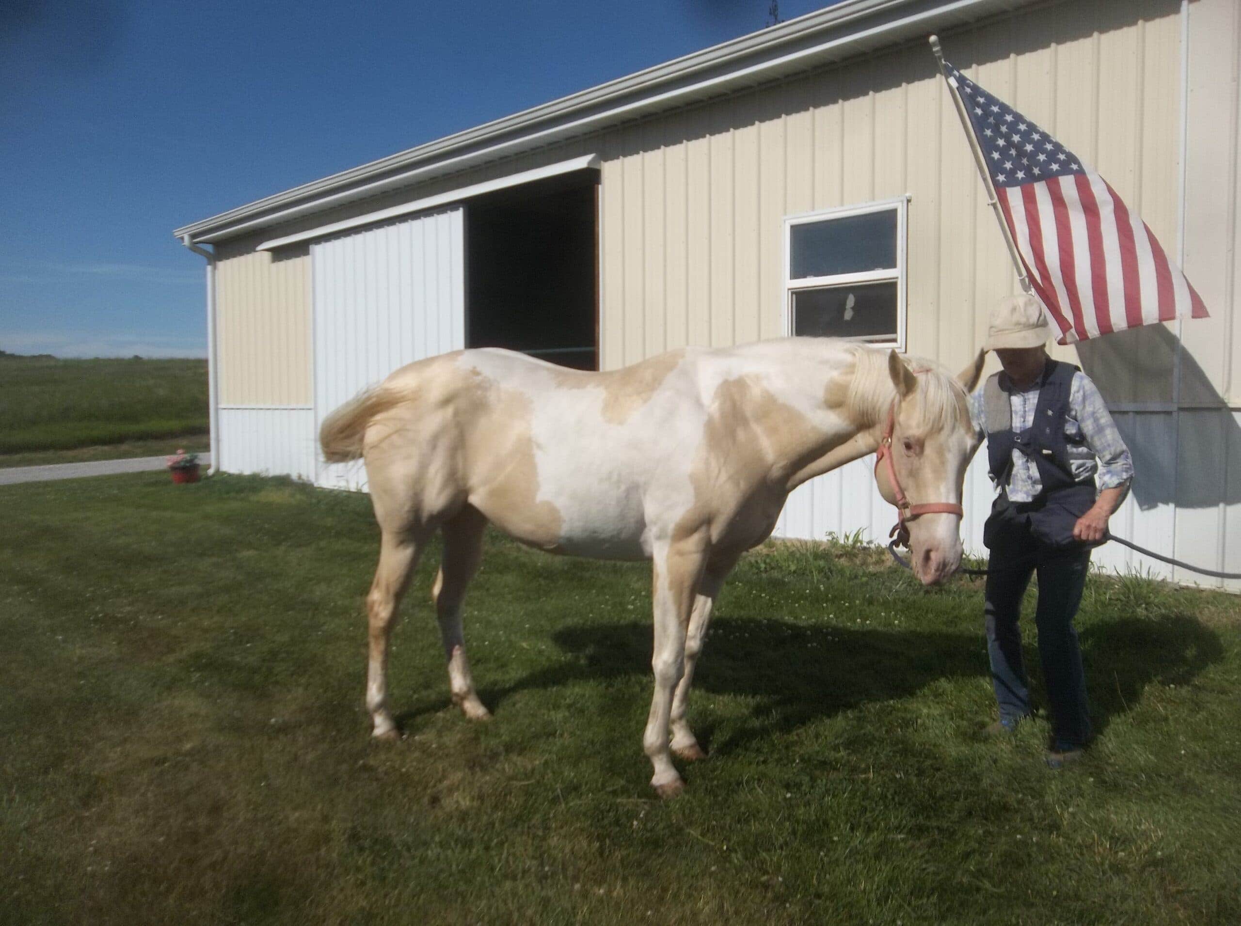 Case Study, After Picture, Sunny 2024