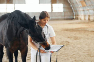 Top 30 Most Common Equine Diseases: [Guide]