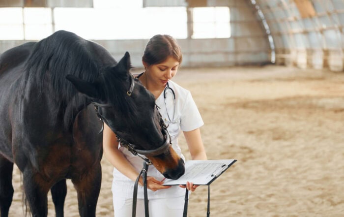 Top 30 Most Common Equine Diseases: [Guide]