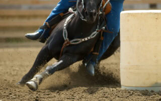 barrel racing discipline guide