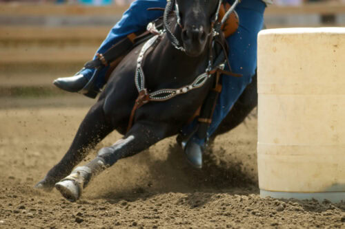 barrel racing discipline guide