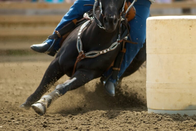 barrel racing discipline guide