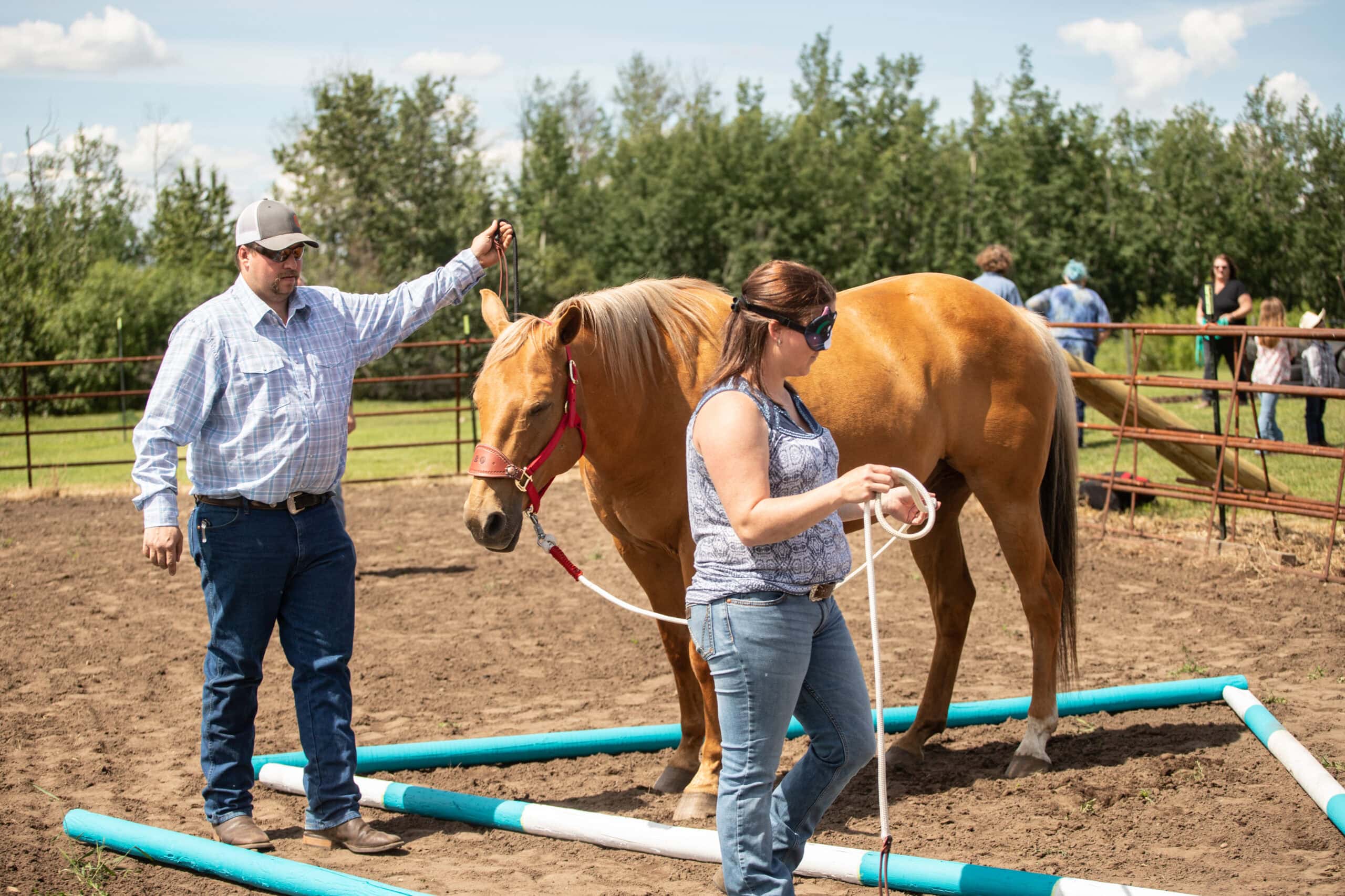 Sara Lavoie - Equine Assisted Learning