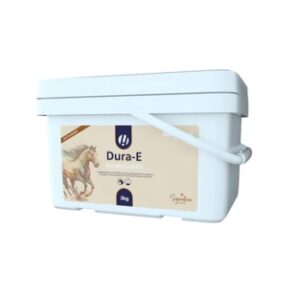 Dura-E (Hestevard)