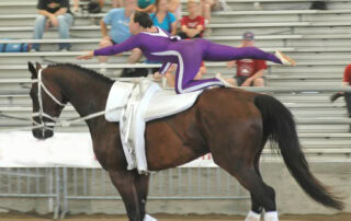 equestrian-vaulting-discipline-guide
