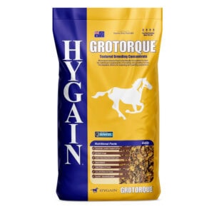 Grotorque (Hygain)