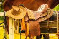 Western Horse Tack: Guide to Saddles, Bridles, Leg Protection & More