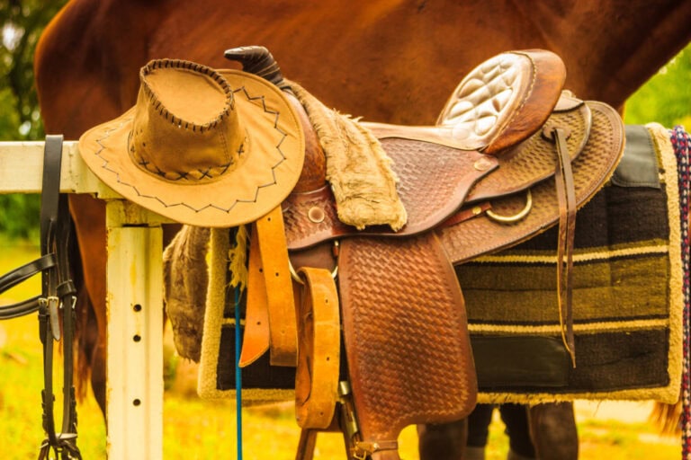 guide-to-western-tack
