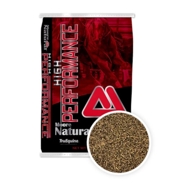 High Performance (Thomas Moore Feed)