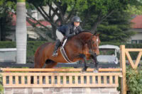 Equestrian Show and Working Hunter: History, Competition & Rules – [Discipline Guide]