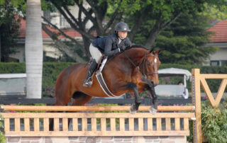 hunter-equestrian-discipline-guide