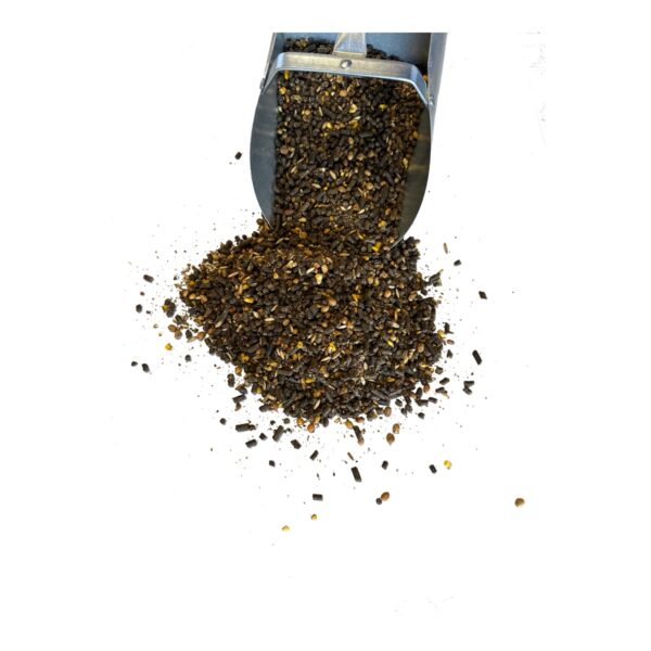 KoolSpeed Mare & Foal (MAC)