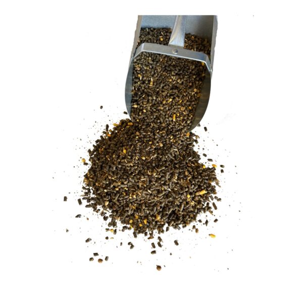 KoolSpeed Plus (MAC)