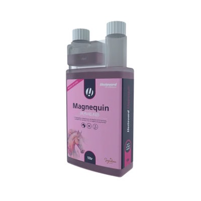 Magnequin (Hestevard)