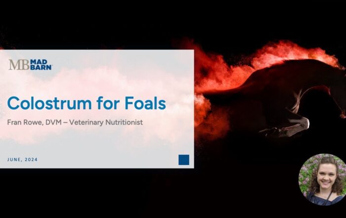 Colostrum for Foals – Mad Barn – Vet Talk