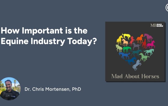 How Important is the Equine Industry Today?