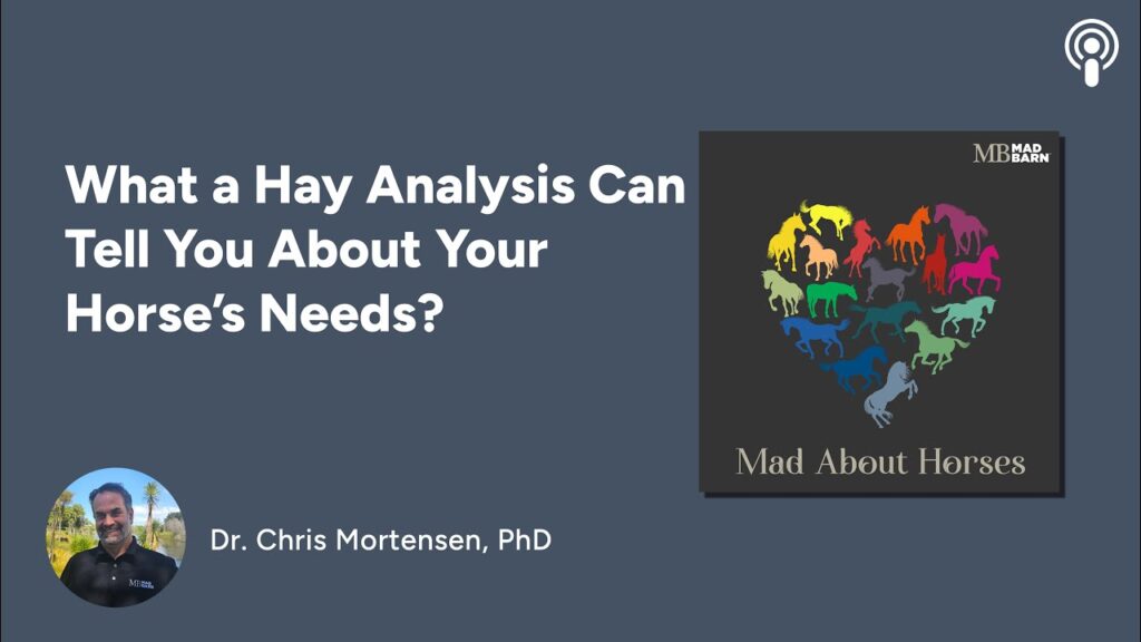 What a Hay Analysis Can Tell You About Your Horse’s Needs?