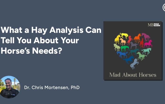 What a Hay Analysis Can Tell You About Your Horse’s Needs?
