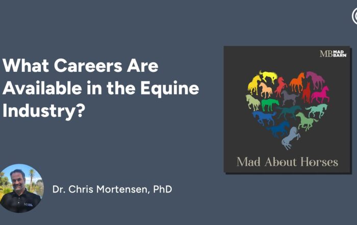 What Careers Are Available in the Equine Industry?