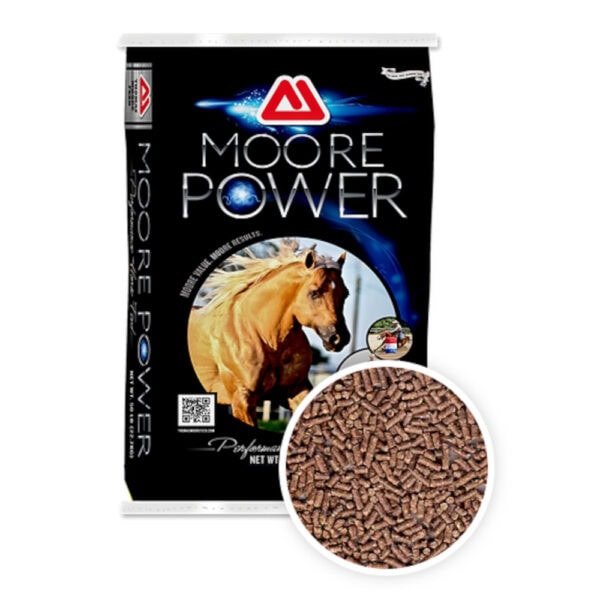 Moore Power 14-10 (Thomas Moore Feed)