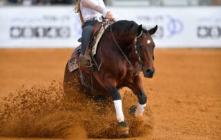 reining-equestrian-discipline-guide