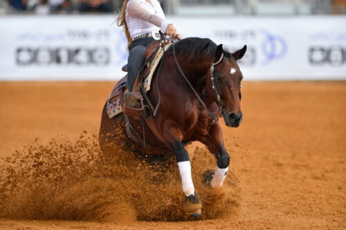 reining-equestrian-discipline-guide