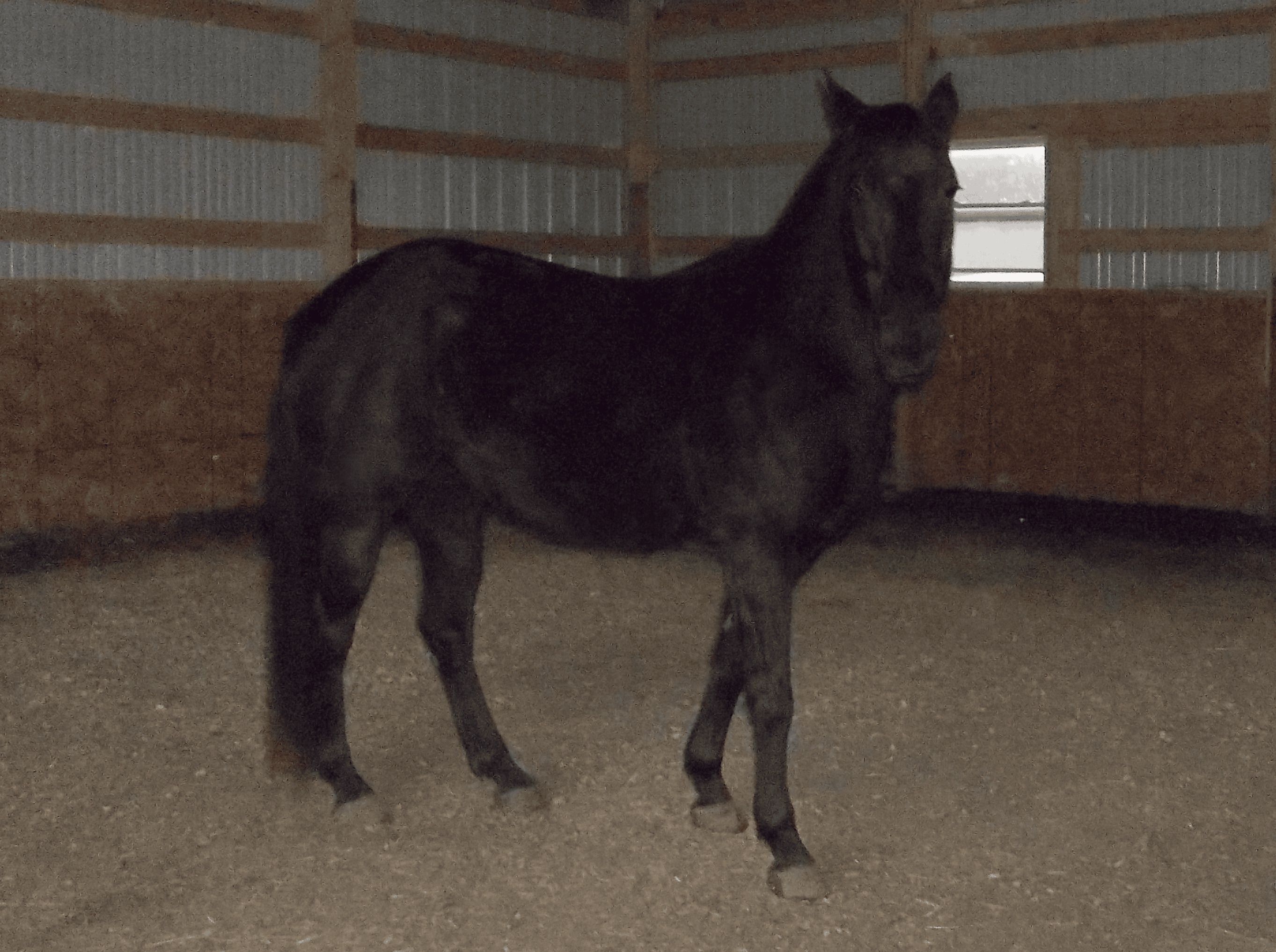 Case Study, Before Picture, Year 2018