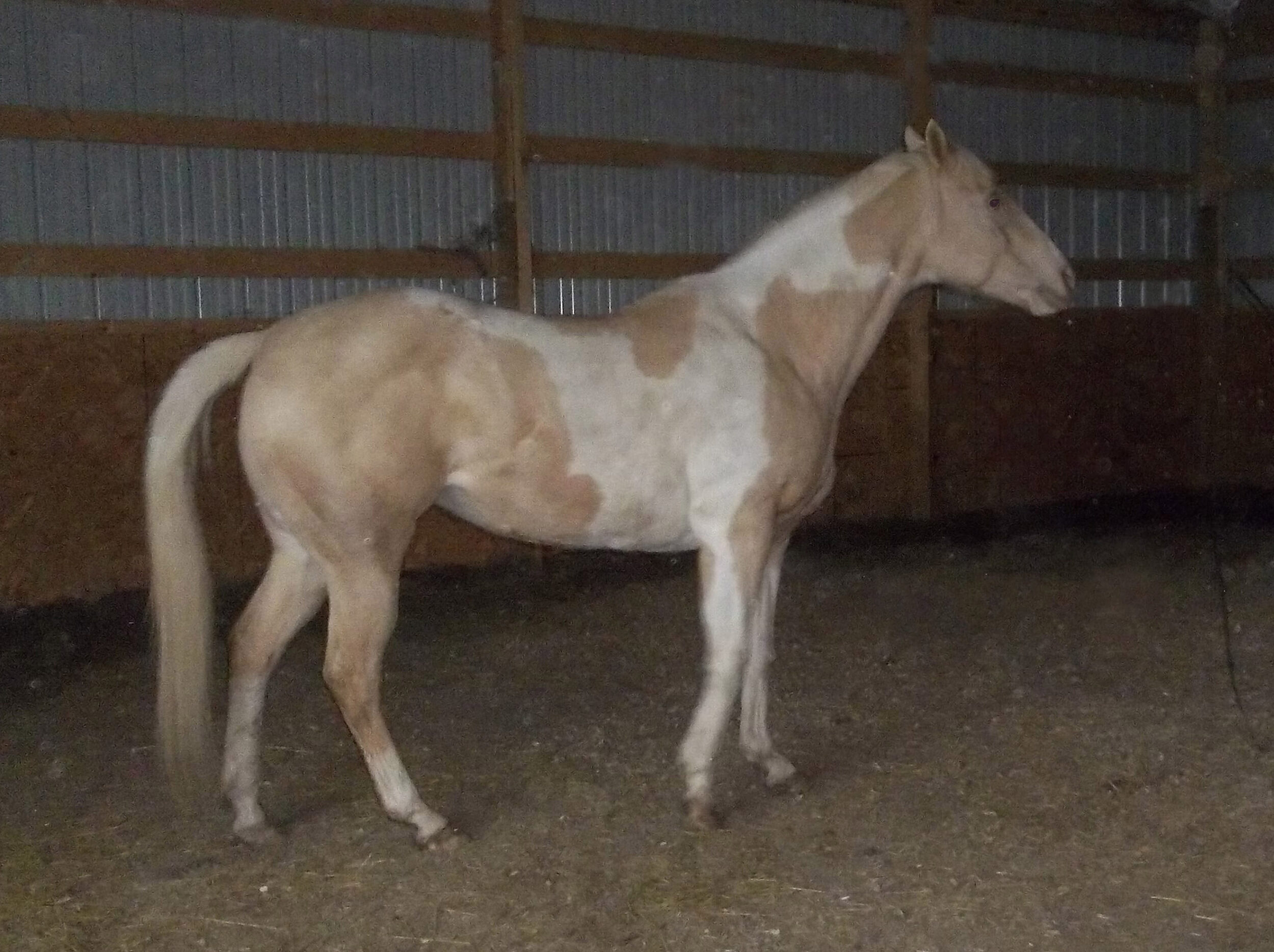 Case Study, Before Picture, Year 2018