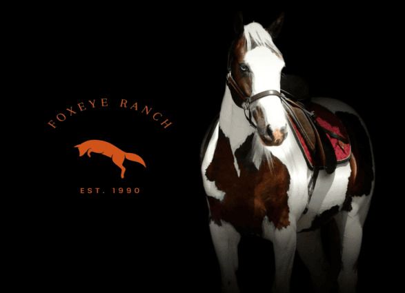 Chris Mensh - Boarding Stable