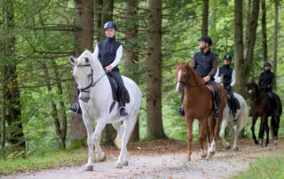 endurance-horse-sports-injuries