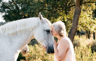 equine-quality-of-life-assessment-guide