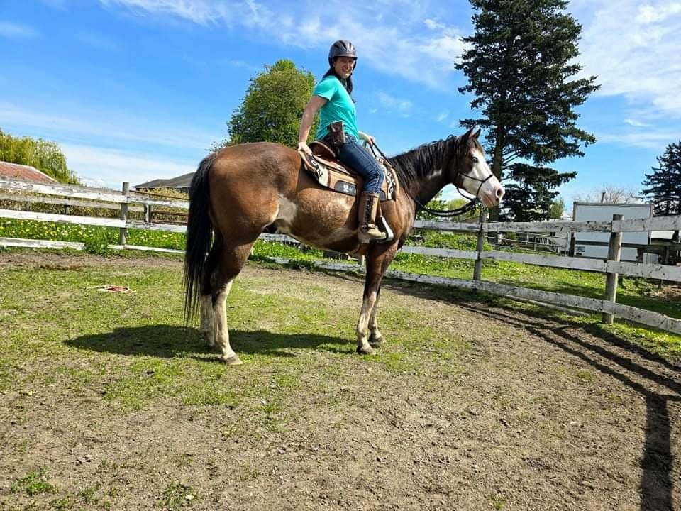 Vanessa Fraser - Coaches & Trainers