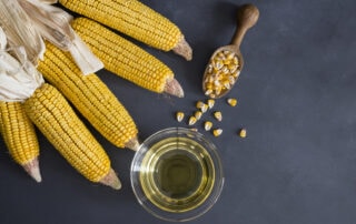 feeding-corn-and-corn-oil-to-horses