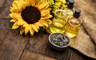 feeding-sunflower-oil-to-horses