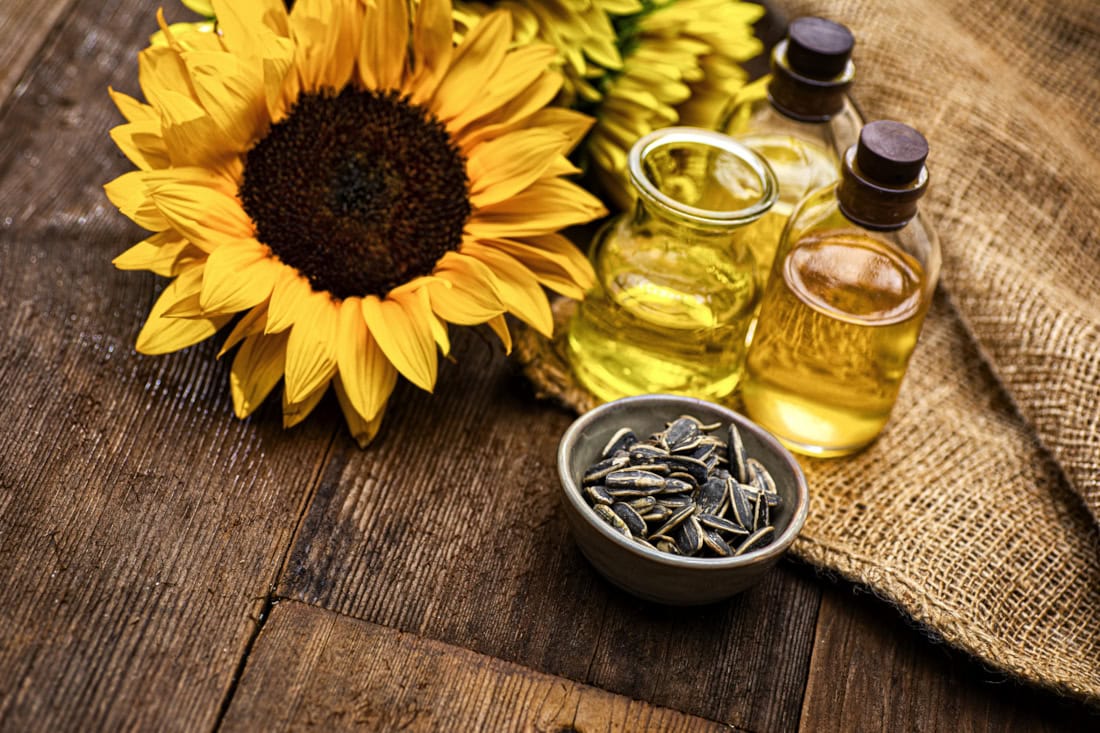 Sunflower Oil for Horses: Benefits, Drawbacks & Feeding Guide