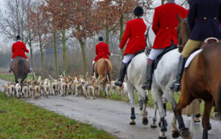 fox-hunting-discipline-guide