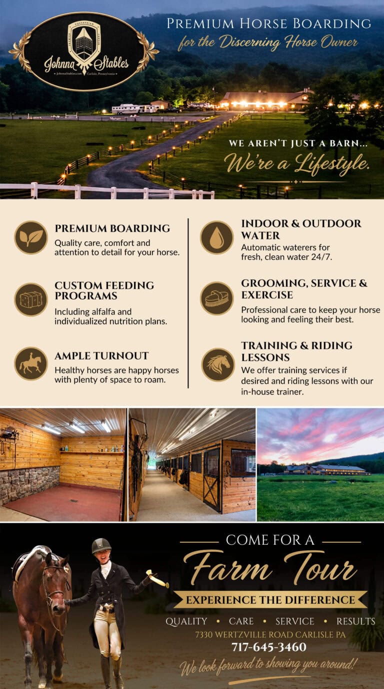johnna-stables-ad