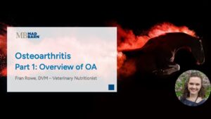 Part 1 – Overview of Osteoarthritis in Horses – Mad Barn Vet Talk