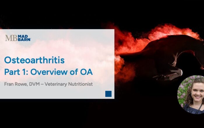 Part 1 – Overview of Osteoarthritis in Horses – Mad Barn Vet Talk
