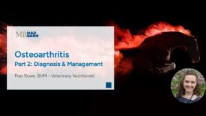 Part 2 – Diagnosis & Management of Osteoarthritis in Horses – Mad Barn Vet Talk