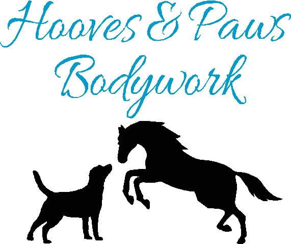 Shelena Anderson - Equine Massage Therapist