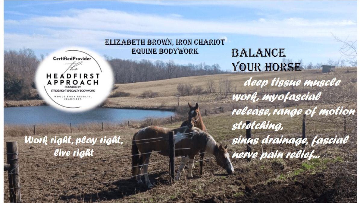 Elizabeth Brown - Equine Bodywork