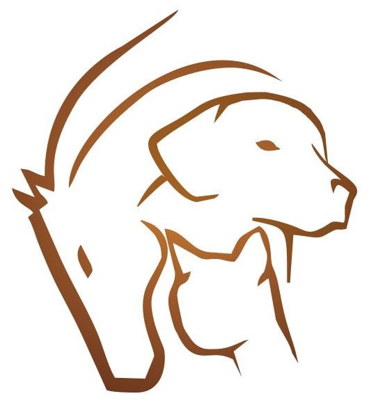 Michelle Jobert - Equine Veterinarian