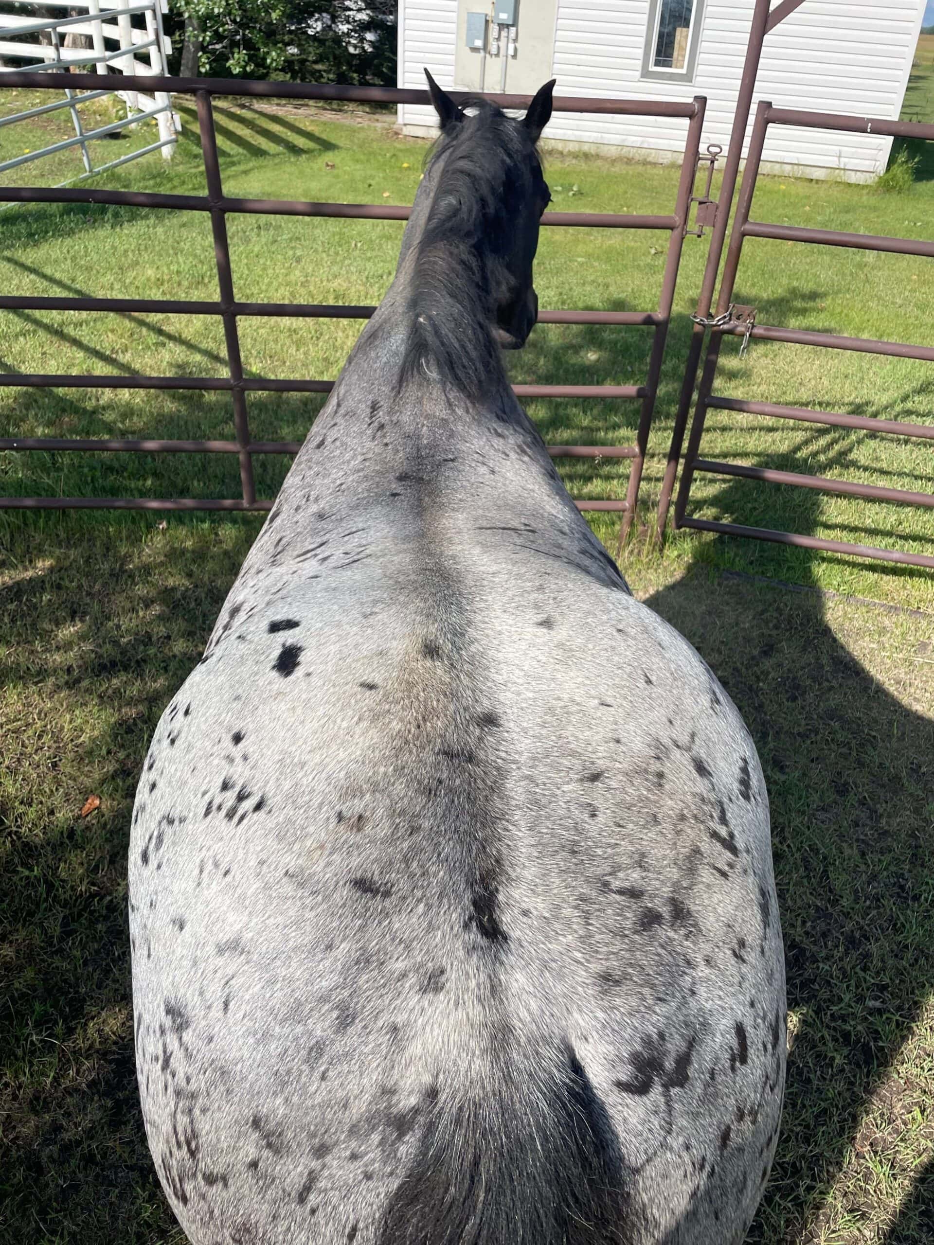 Case Study, Rage, After Diet Intervention