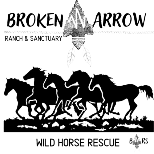 Angela Crandall - Rescue Organization