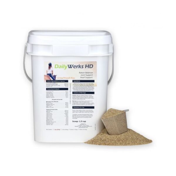 DailyWerks HD (HorseTech)